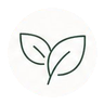 Organic ingredients icon
