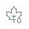 Natural sweetness icon