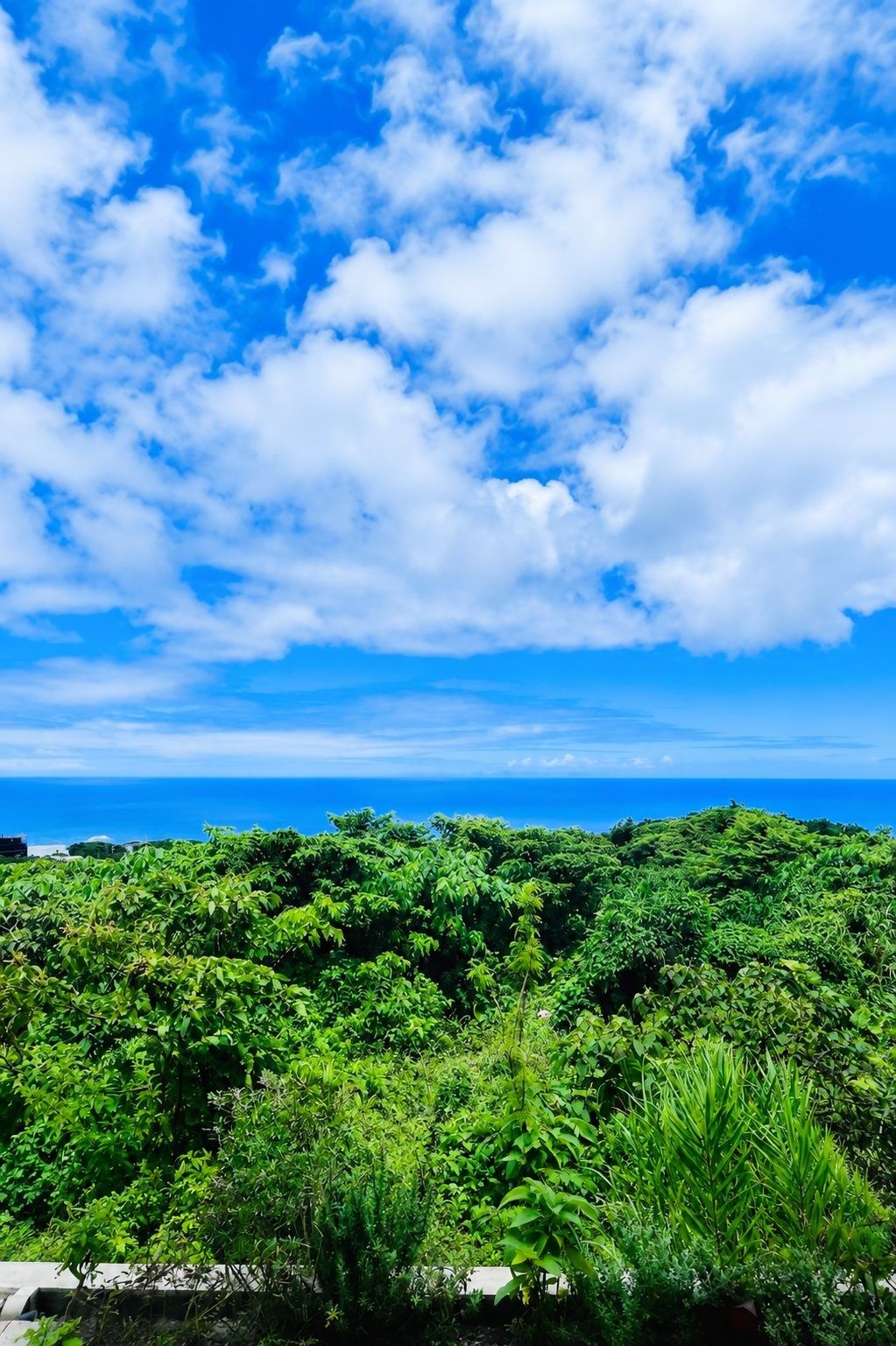 Lush nature of Kouri Island Okinawa