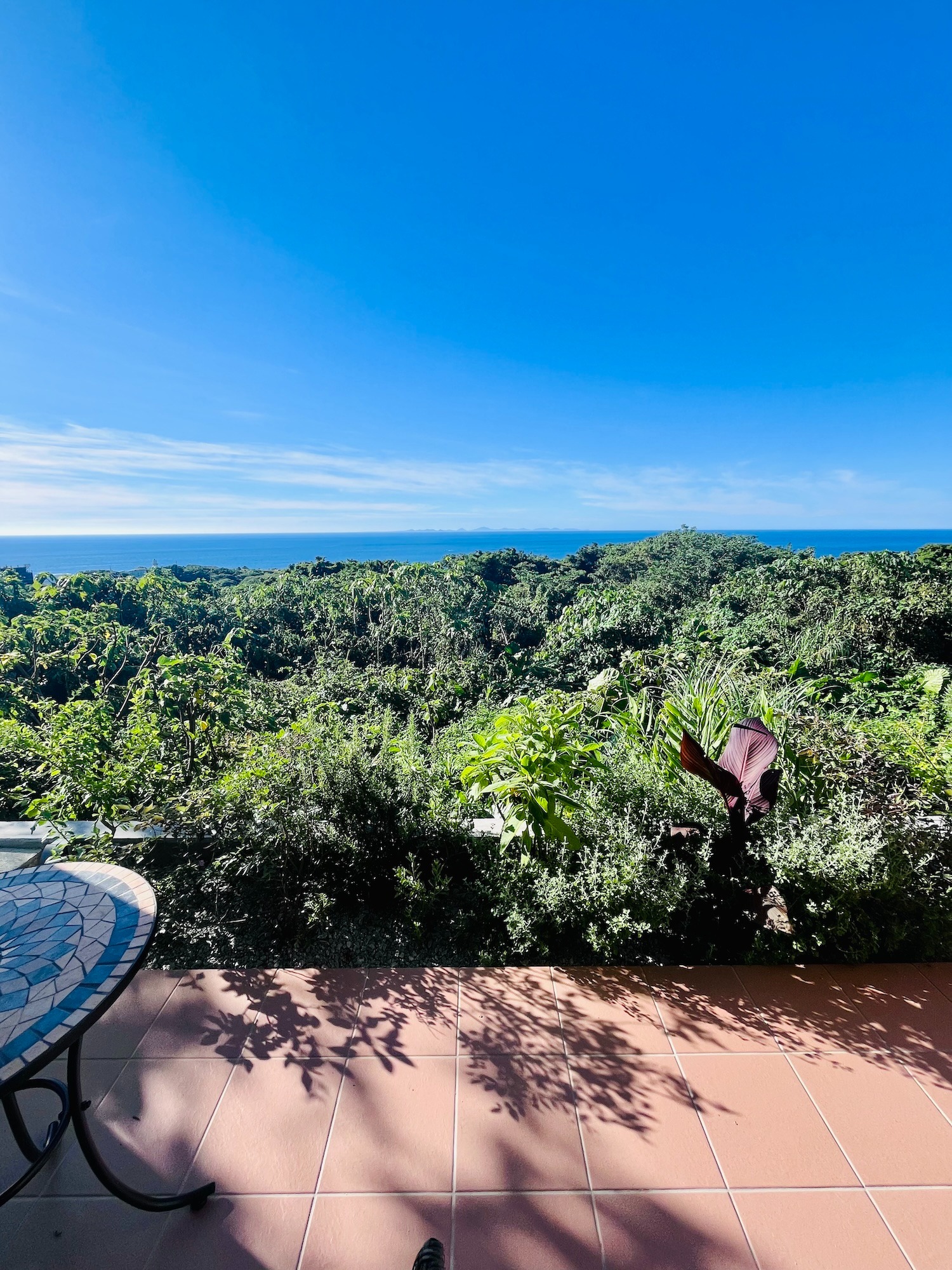 View from the terrace sofa